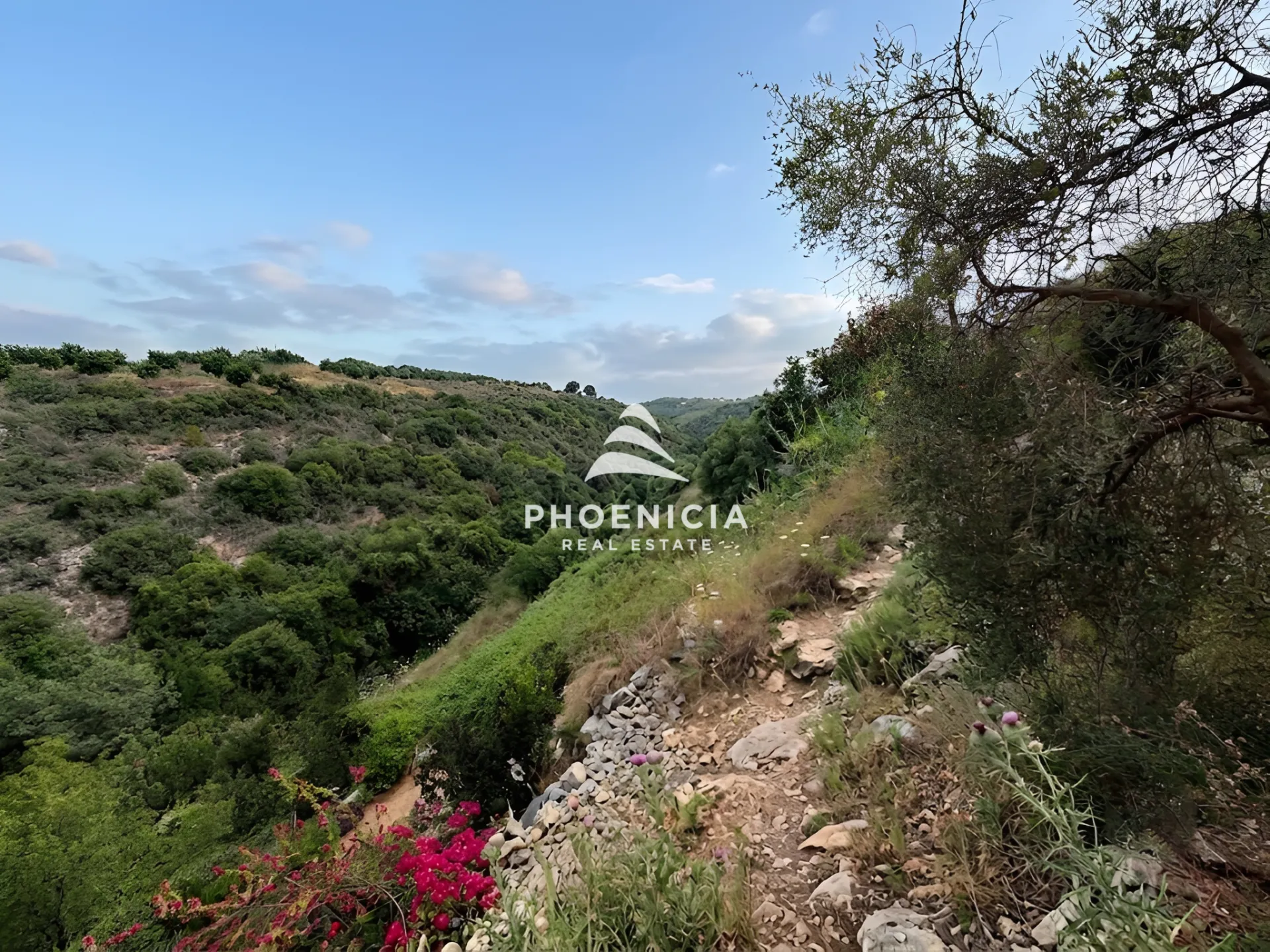 Residential Land for sale in Blat, Jbeil, Lebanon — الصورة 7