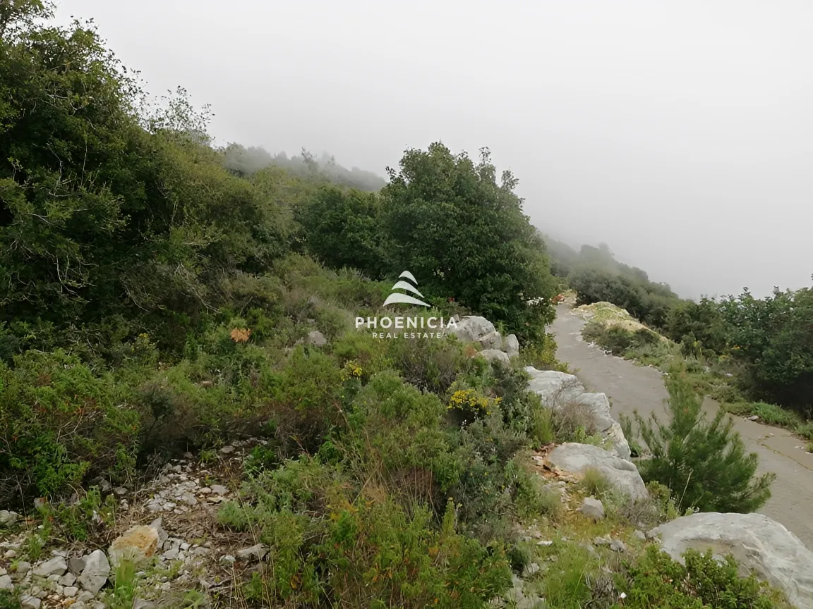 Land for Sale in Blat — الصورة 4