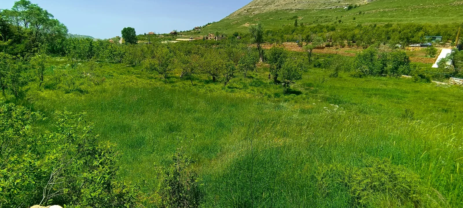 Land for Rent in Faraiya, Lebanon
