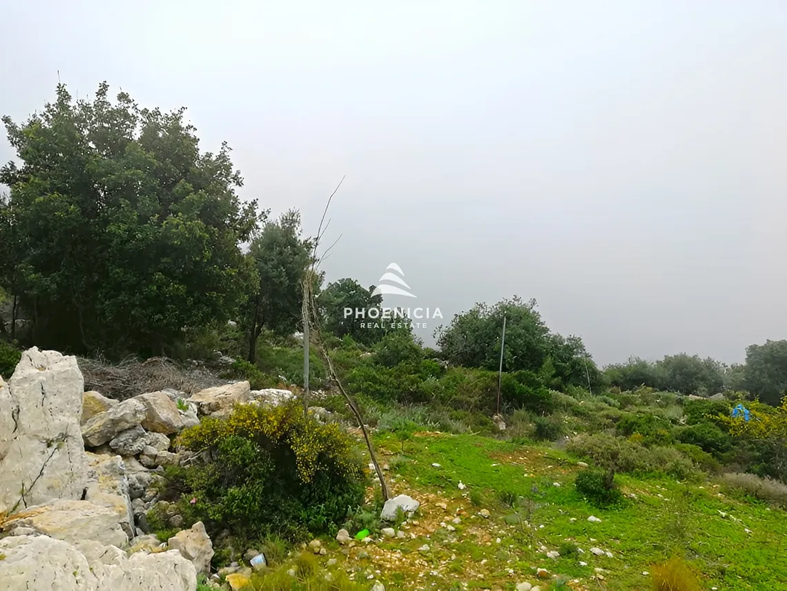 Land for Sale in Blat — الصورة 10