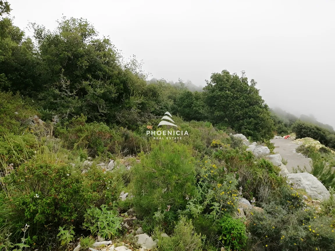 Land for Sale in Blat — الصورة 2