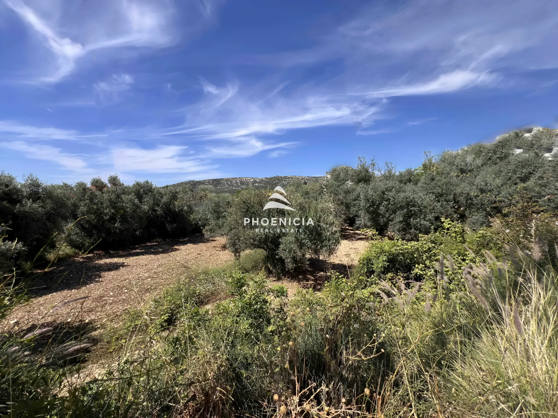 Land for Sale in Batroun — الصورة 8