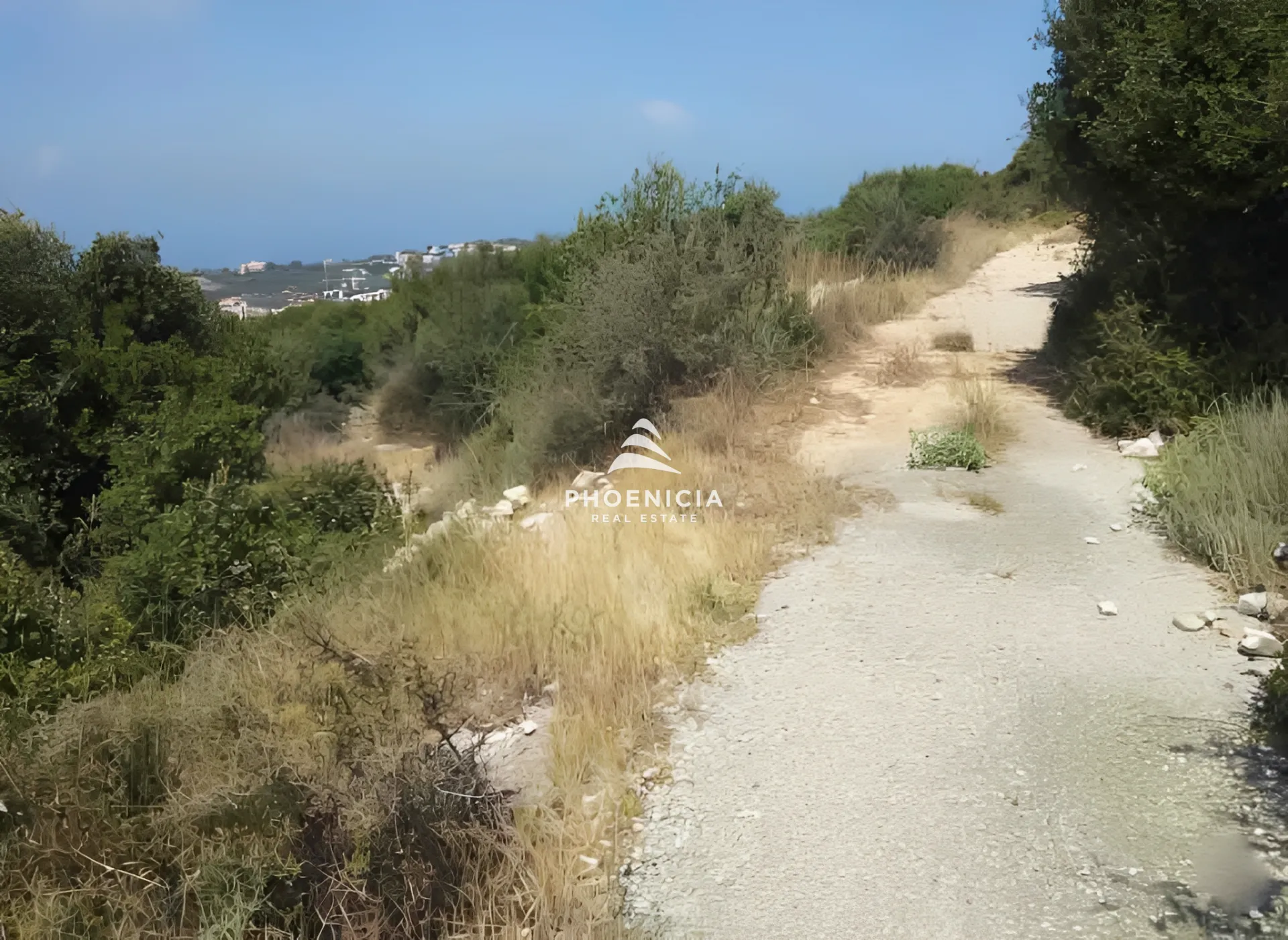 Land for Sale in Gharzouz — الصورة 3