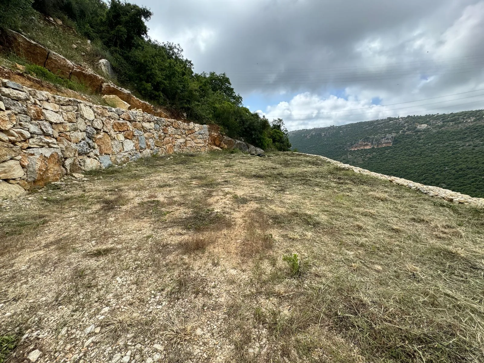 Land for Sale in Haqel, Lebanon — الصورة 4