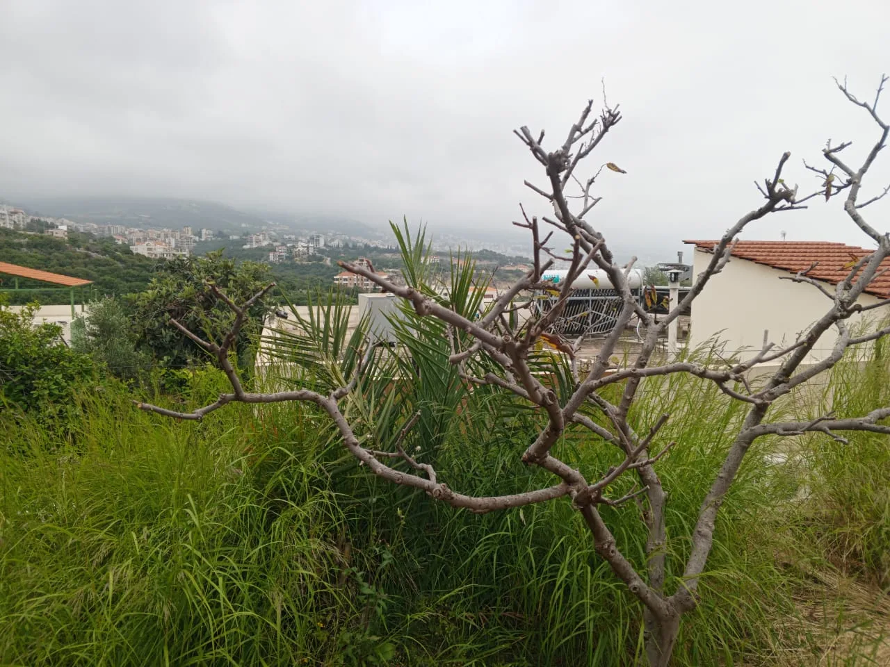 Land for Sale in Aamchit — الصورة 3