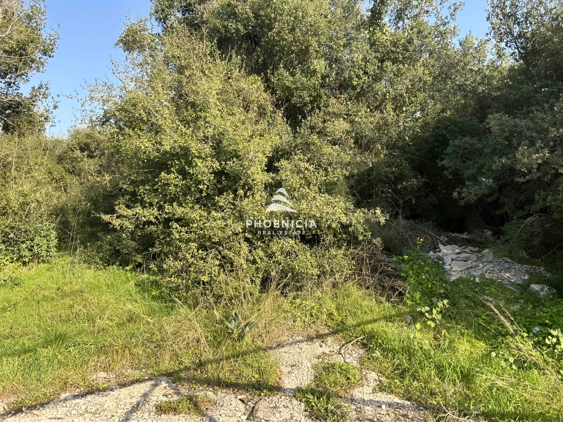 Land for Sale in Bouar, Lebanon — الصورة 4