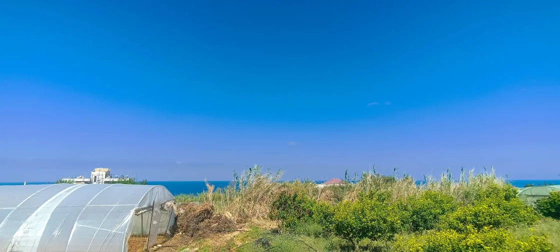 Land for Rent in Batroun, Lebanon — الصورة 2