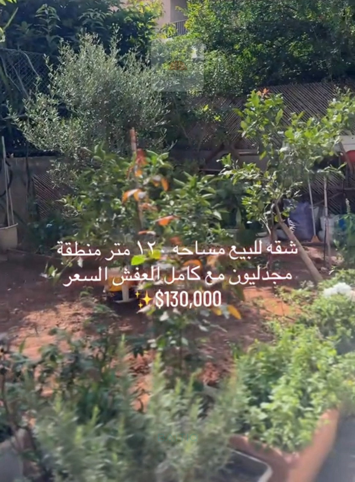Apartment for Sale in Majdelyoun — الصورة 5