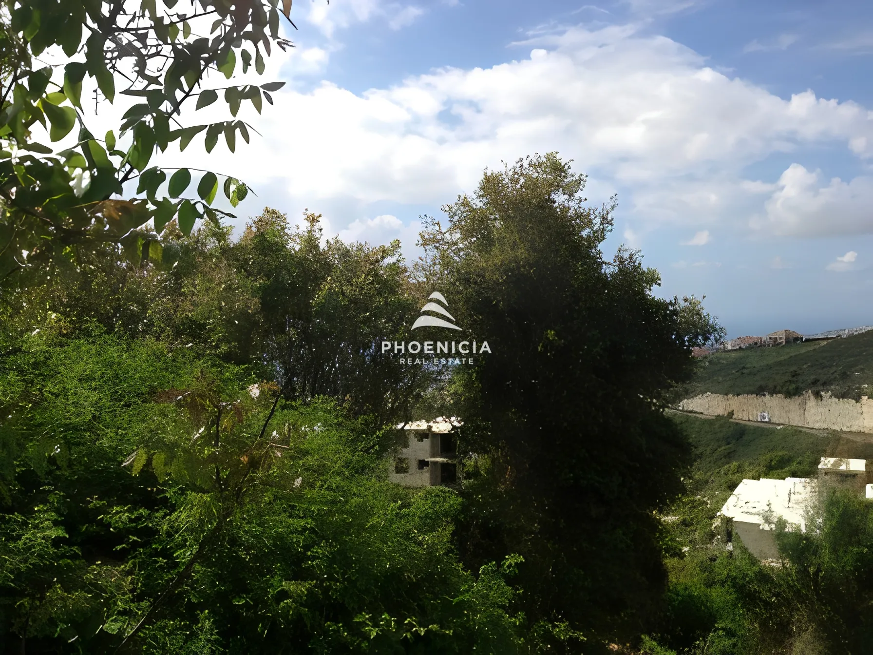 Land for Sale in Habboub — الصورة 3