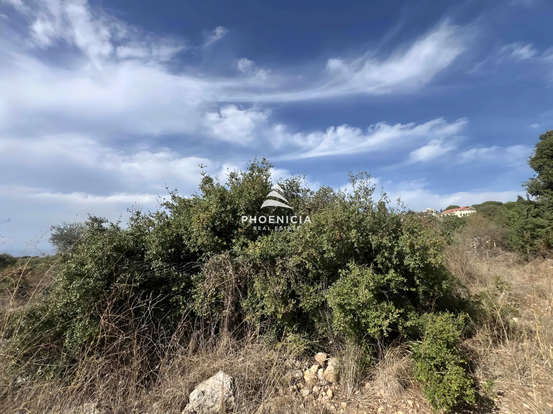 Land for Sale in Chikhane — الصورة 4