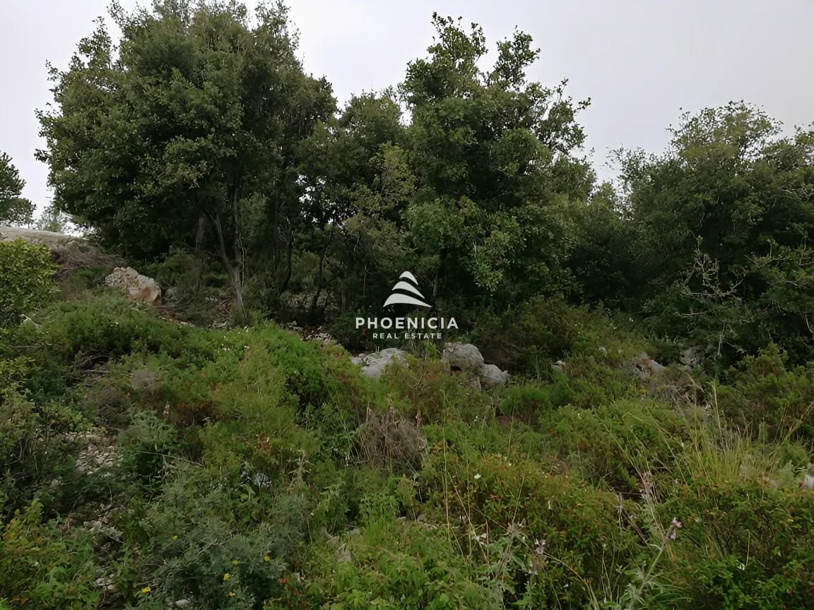 Land for Sale in Blat — الصورة 12