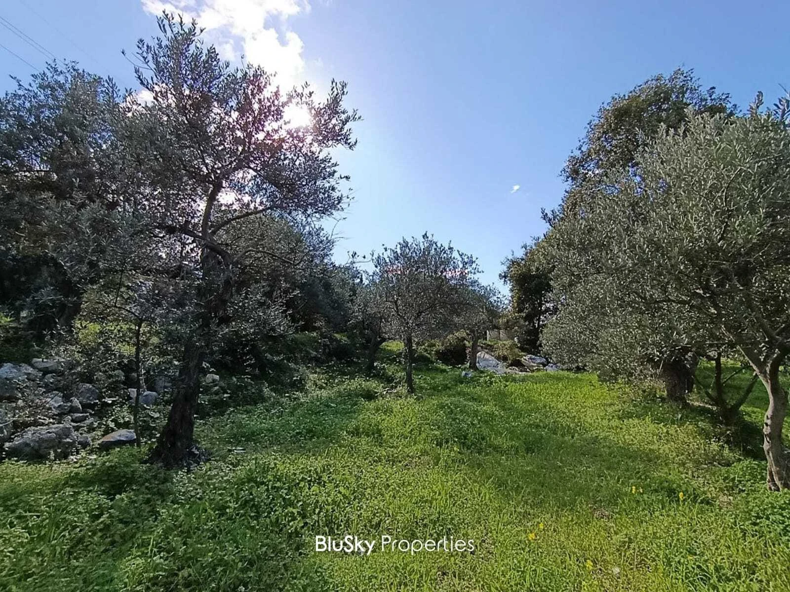 Land 3,543m² for Sale in Amchit