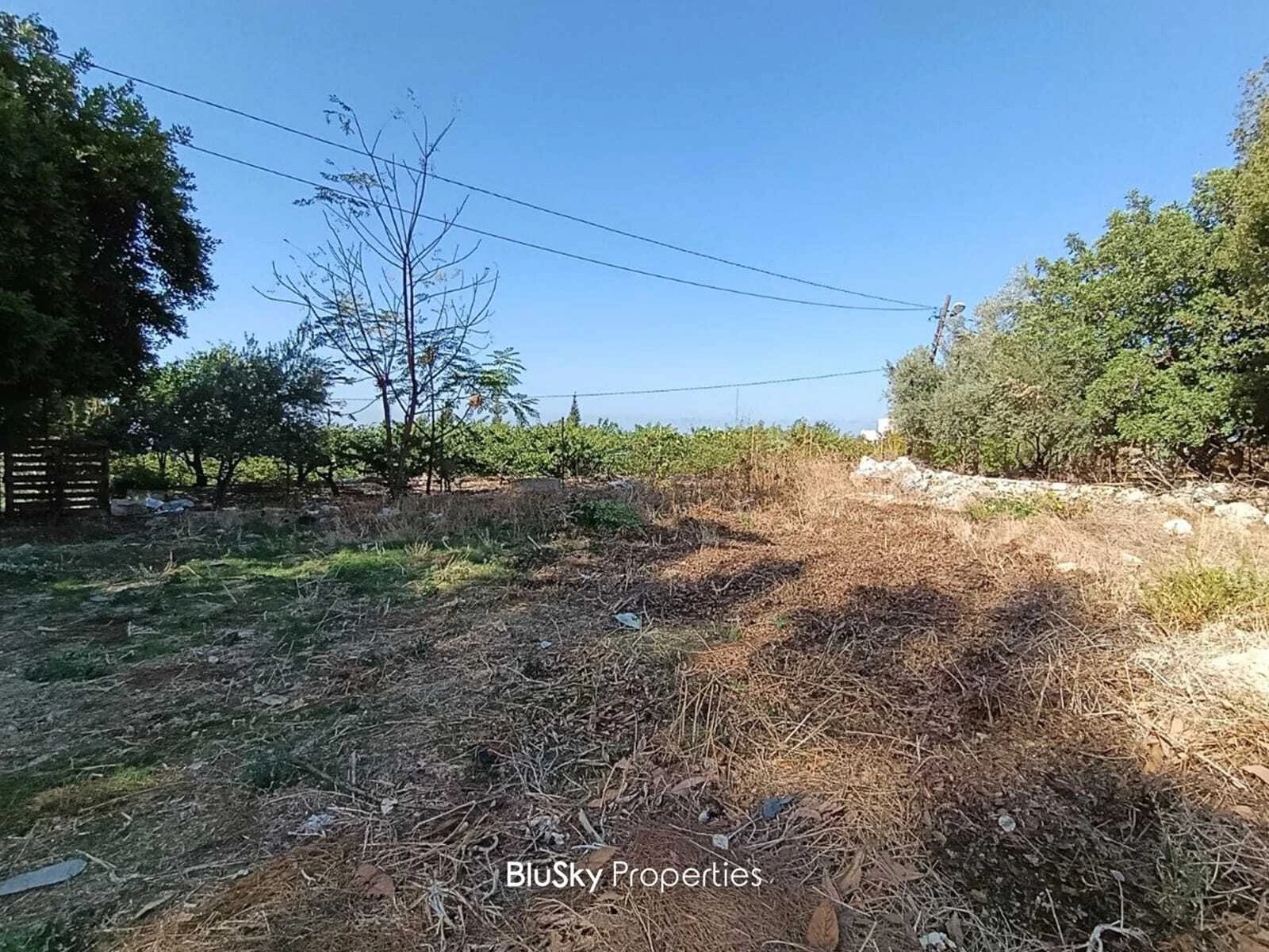 Land 772m² for Sale in Amchit — الصورة 1
