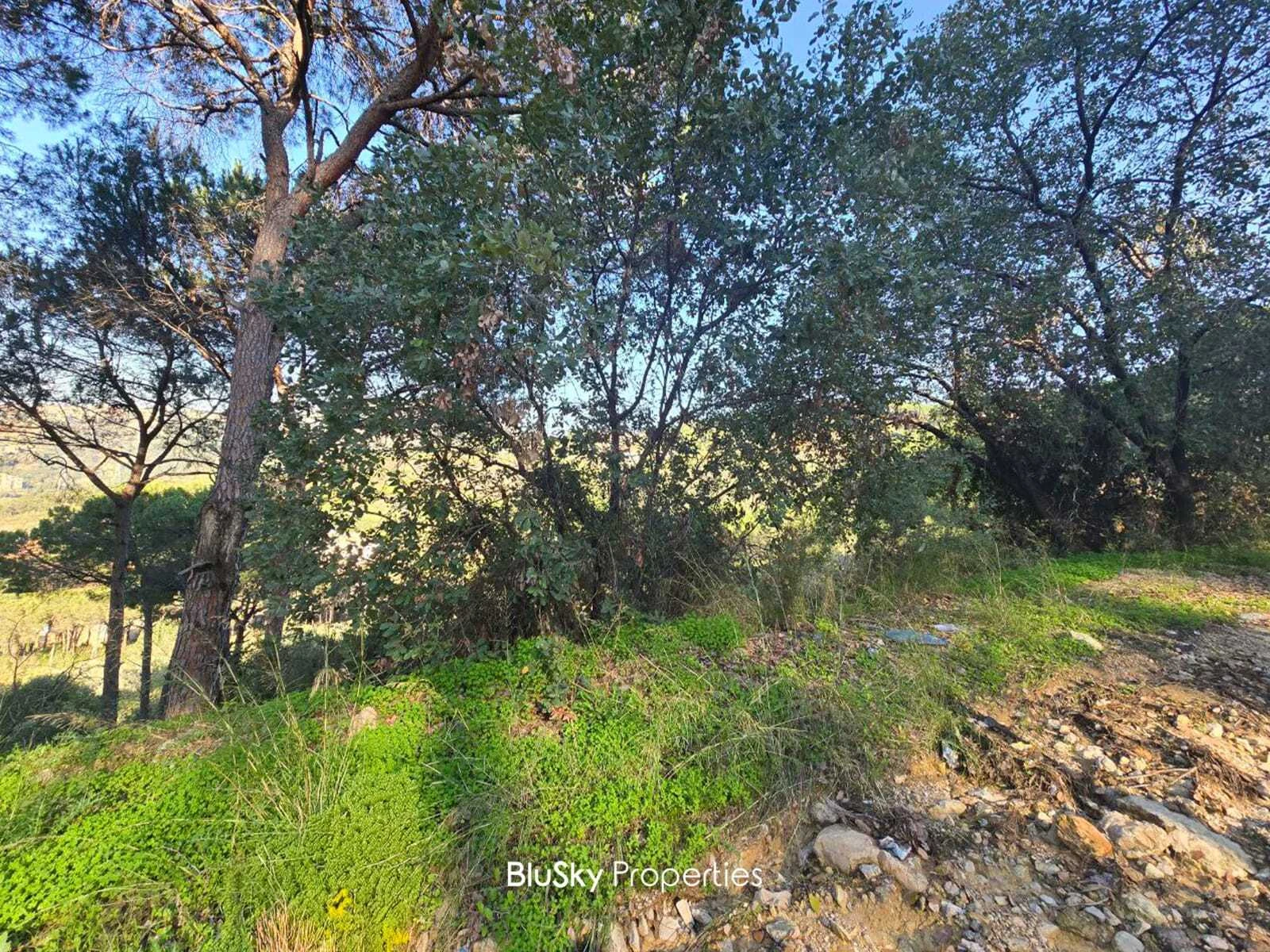 Land 1,069m² for Sale in Araya — photo 2