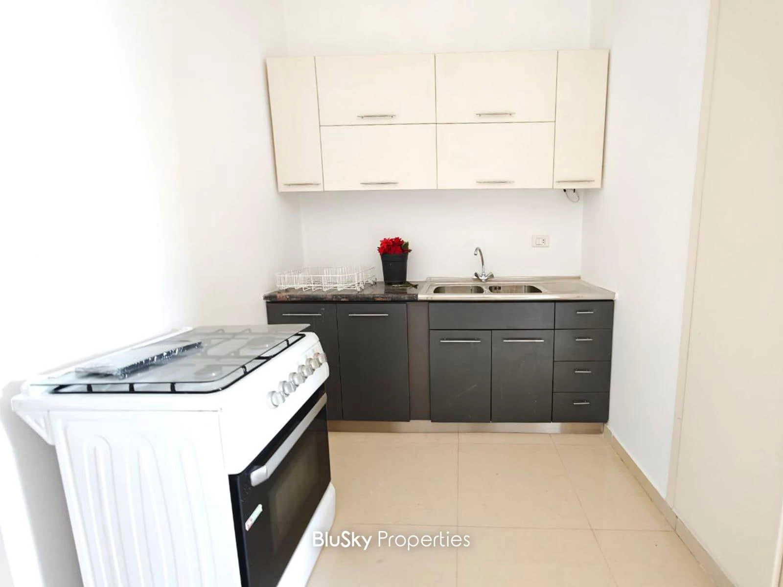 Apartment 130m² Terrace for Rent in Ain Saadeh — photo 5