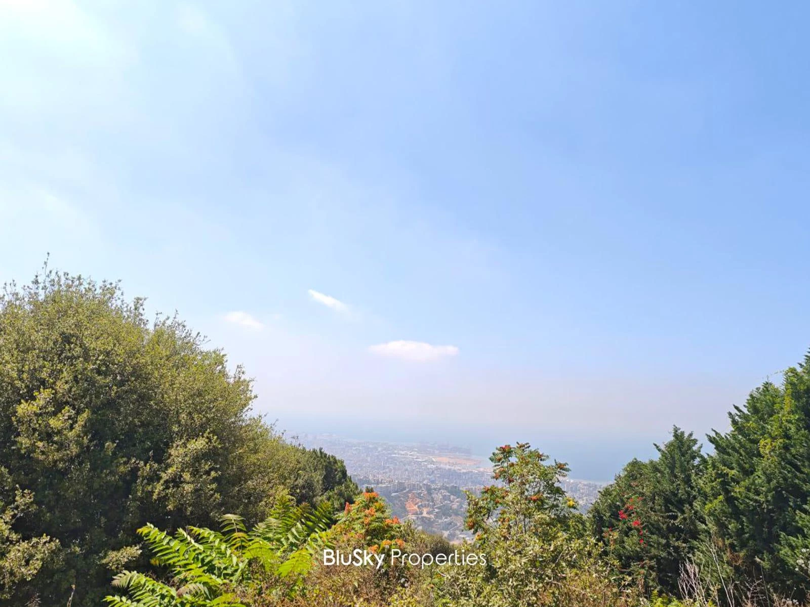 Land 1,618m² for Sale in Ain Saadeh — photo 1