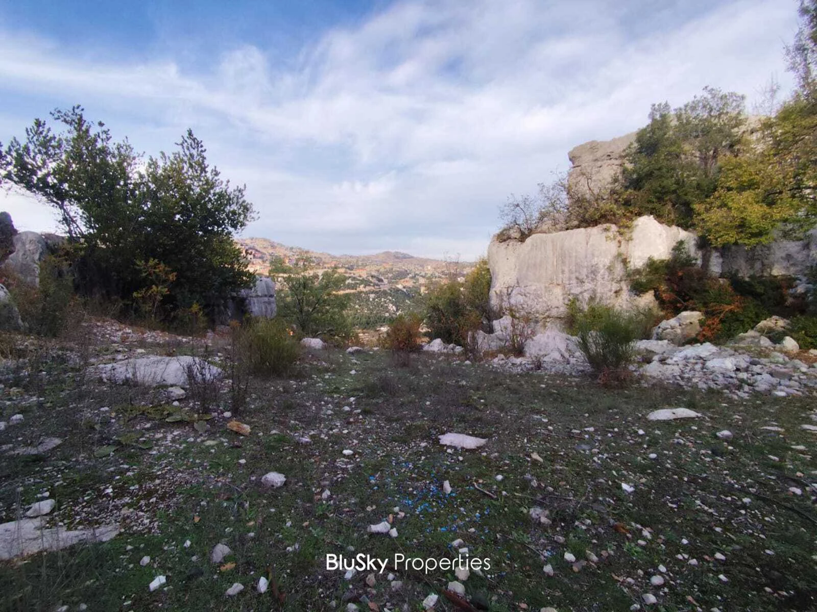 Land 1,316m² for Sale in Aashqout — photo 3