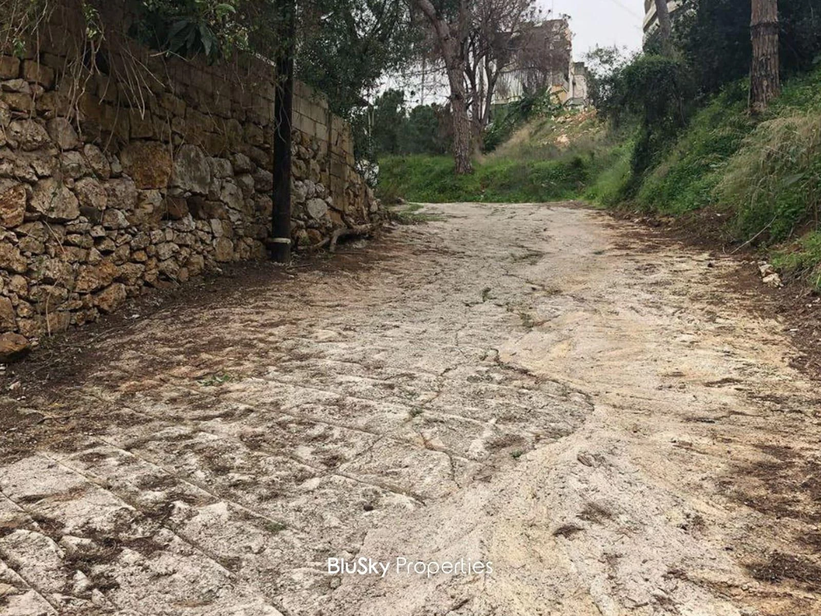 Warehouse 500m² for Sale in Awkar — photo 2