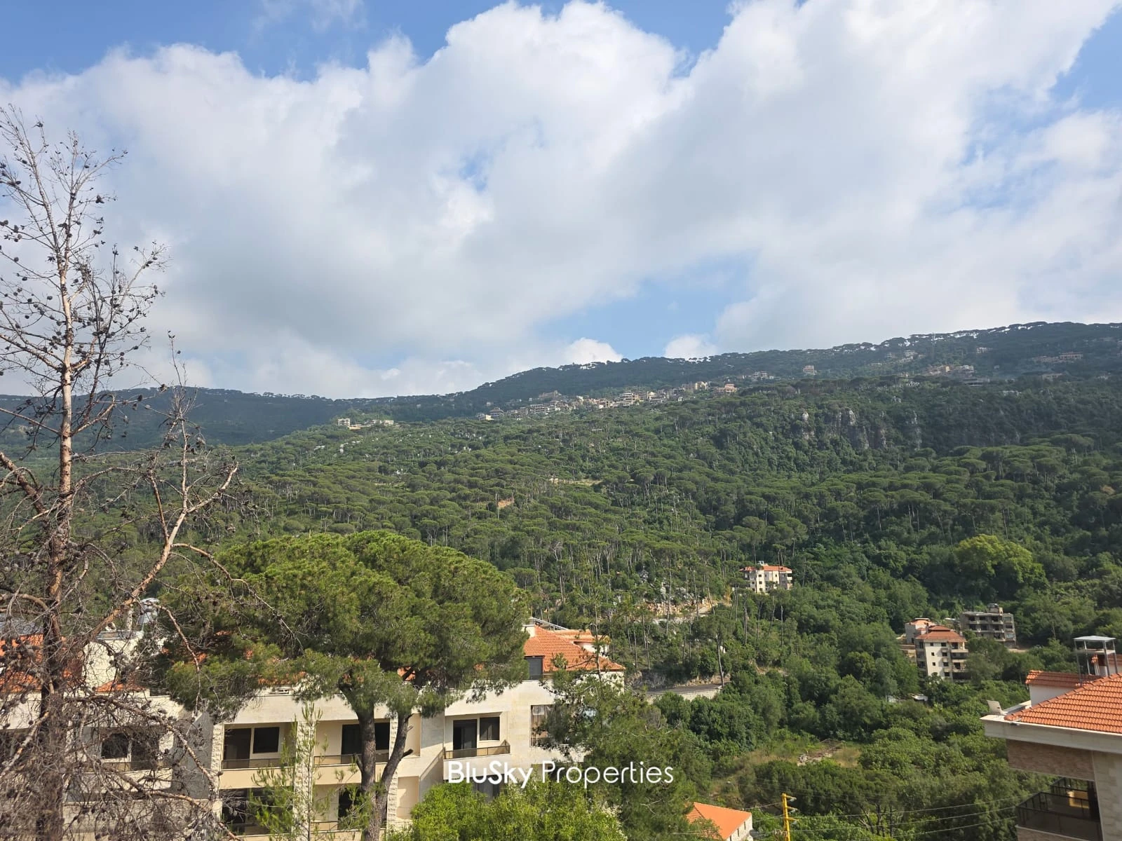 Apartment 100m² with Mountain View for Rent in Baabdat — الصورة 3