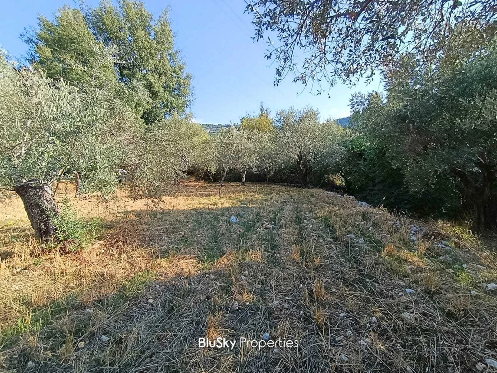 Land 1,170m² for Sale in Bchelli