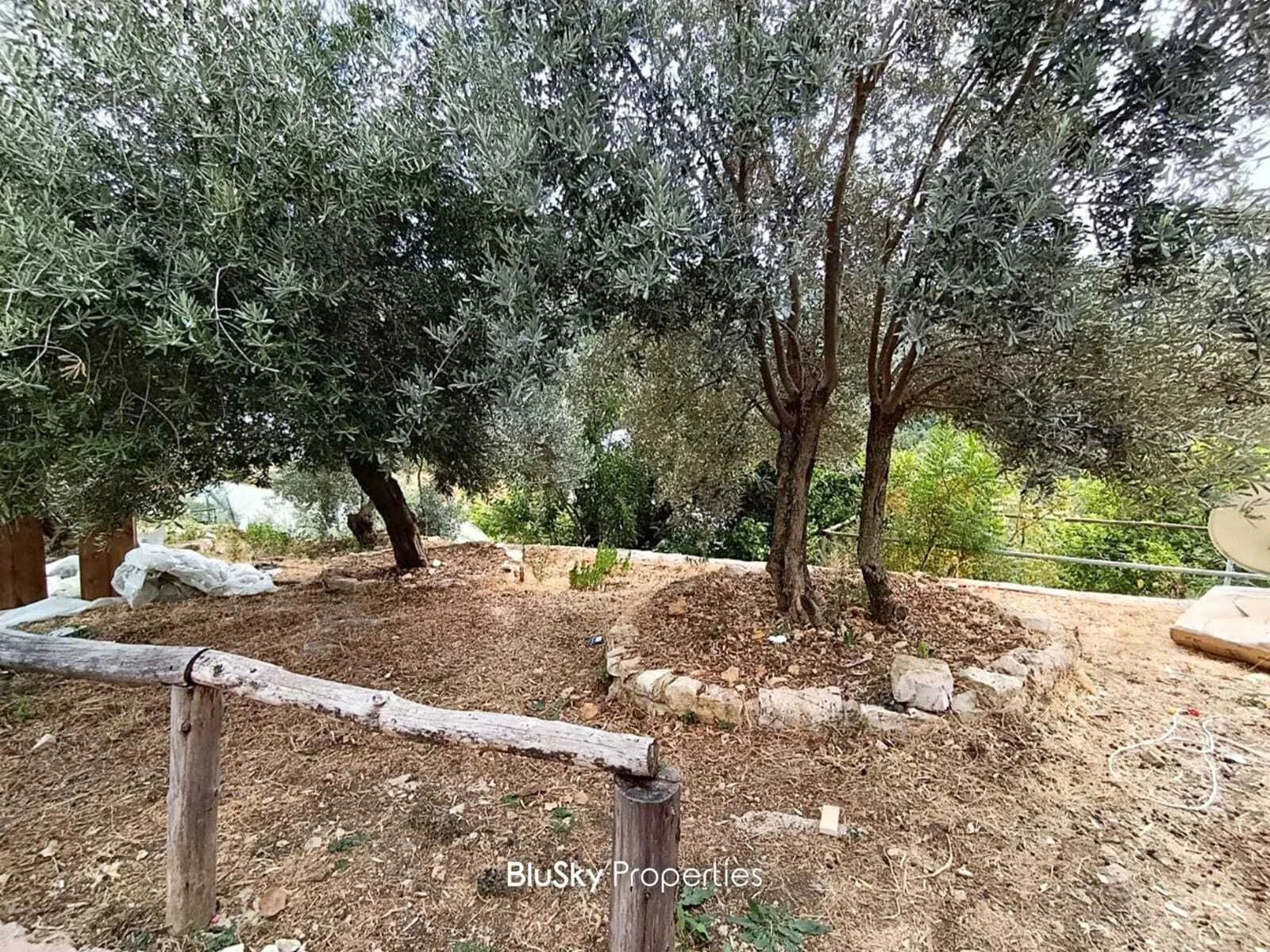 Stand Alone House 120m² Garden for Rent in Bchelli — photo 3