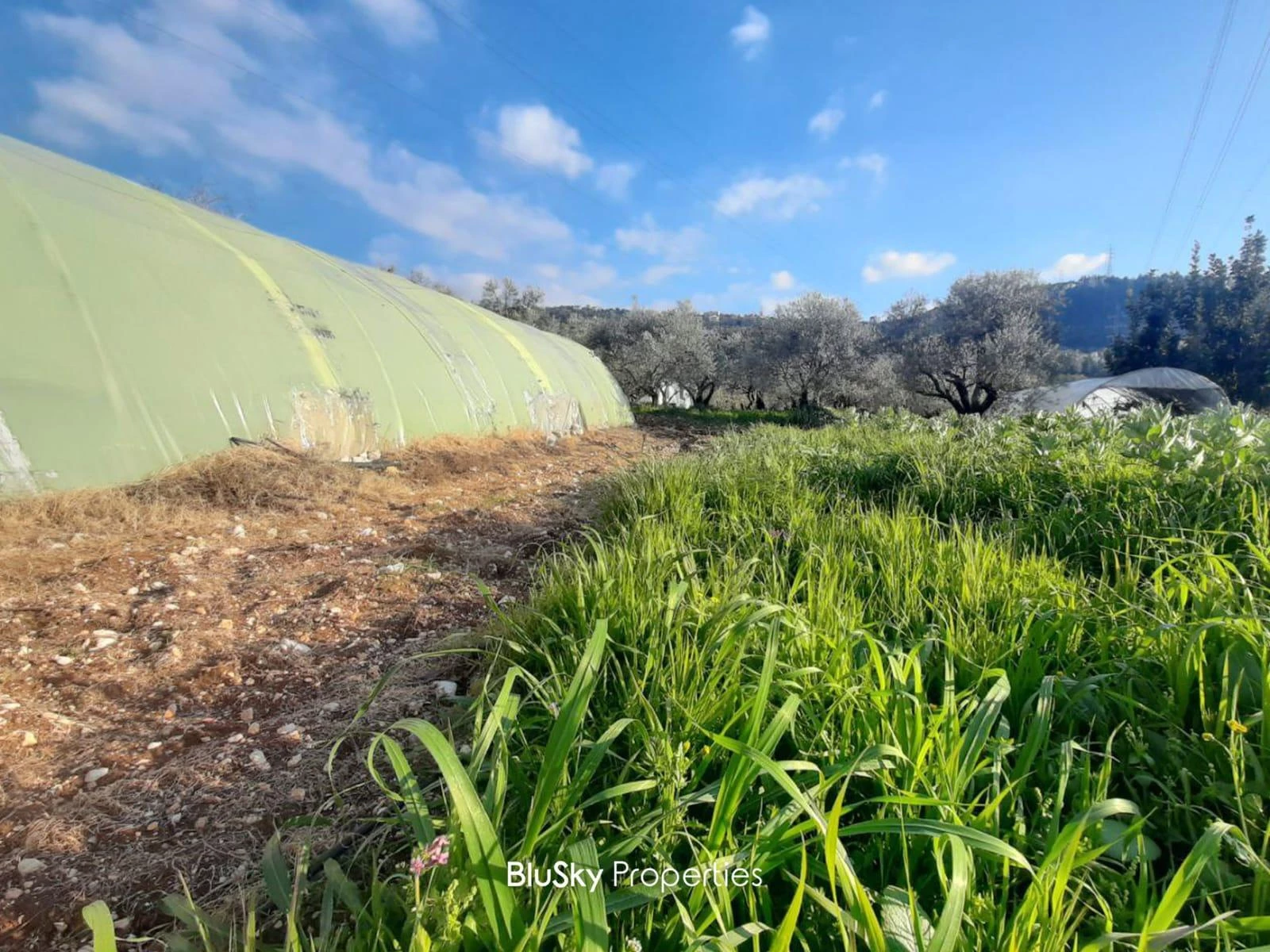 Land 1833m² for Sale in Bchelli
