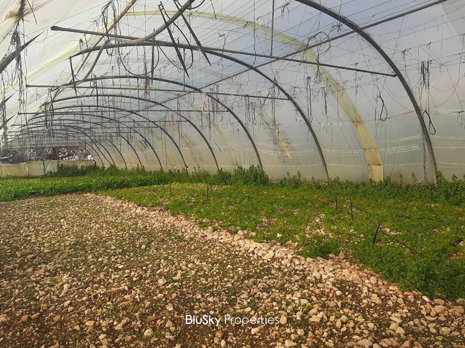 Land 1833m² for Sale in Bchelli — الصورة 2