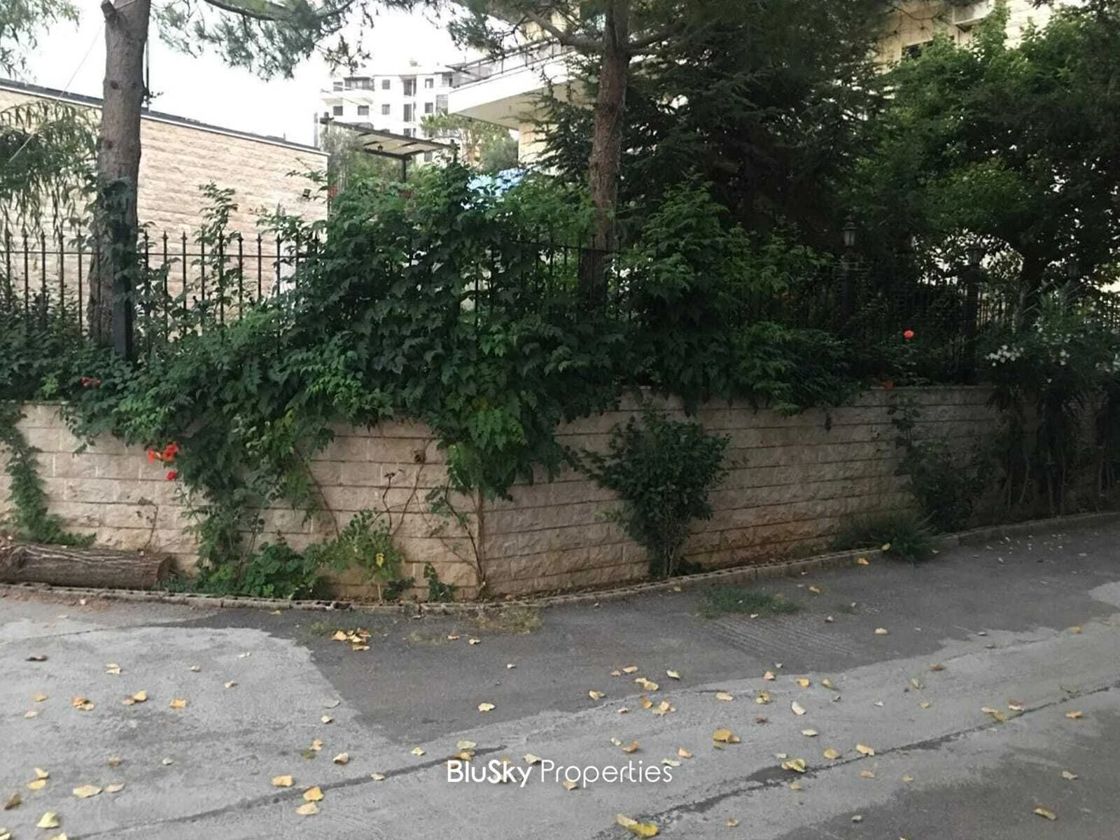 Villa 800m² Mountain View for Sale in Bekfaya — الصورة 4