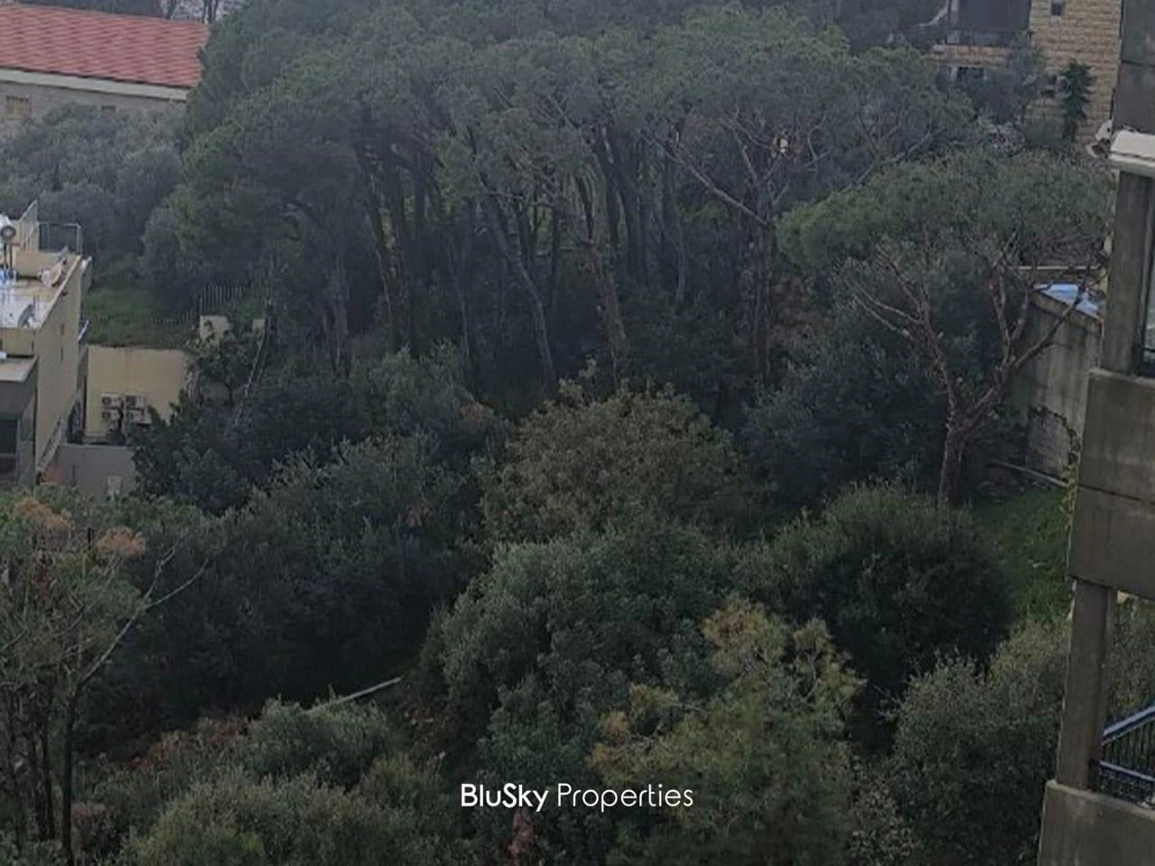 Land 1666m² for Sale in Bkennaya — photo 2