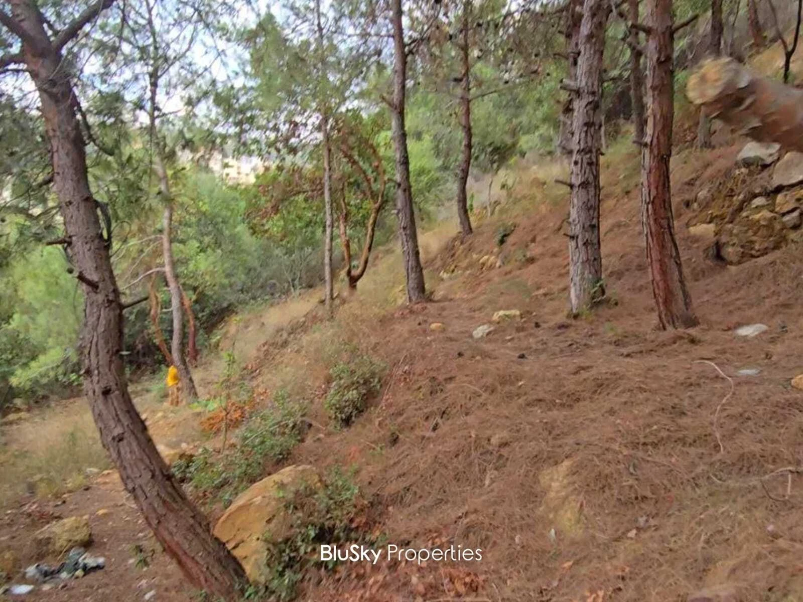 Land 1,000m² for Sale in Bleibel — الصورة 2
