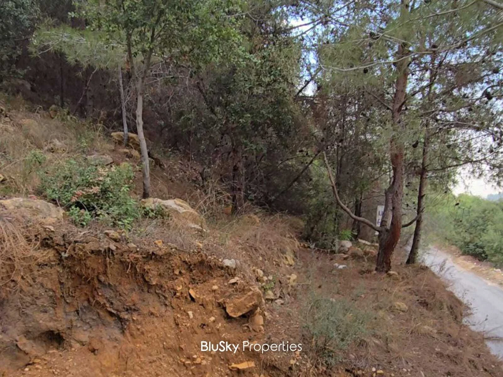 Land 1,000m² for Sale in Bleibel — الصورة 4