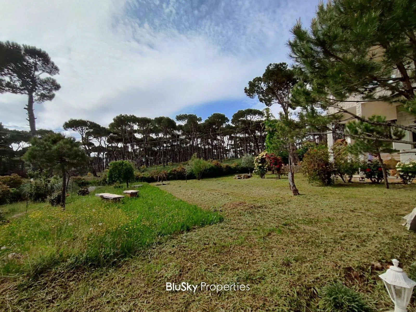Apartment 280m² Garden for Rent in Bolonia — الصورة 3