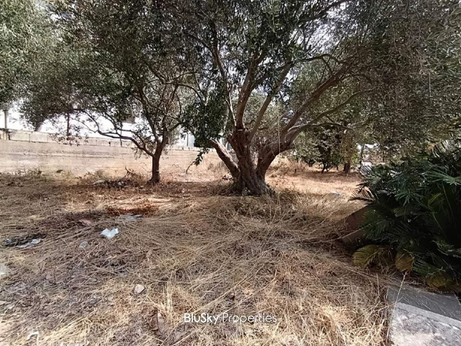 Land 558m² for Sale in Bouar