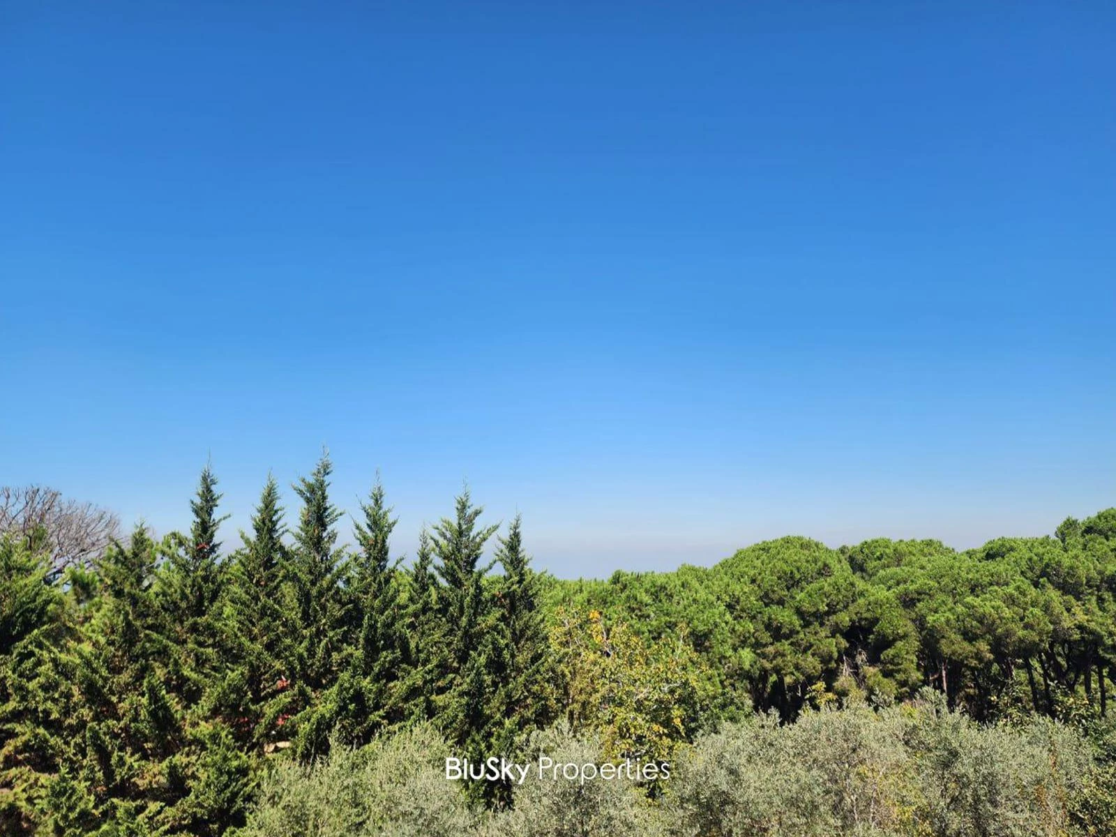 Apartment 130m² Terrace for Rent in Broumana — الصورة 3