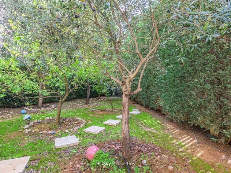 Apartment 205m² Garden for Sale in Bsalim — الصورة 3