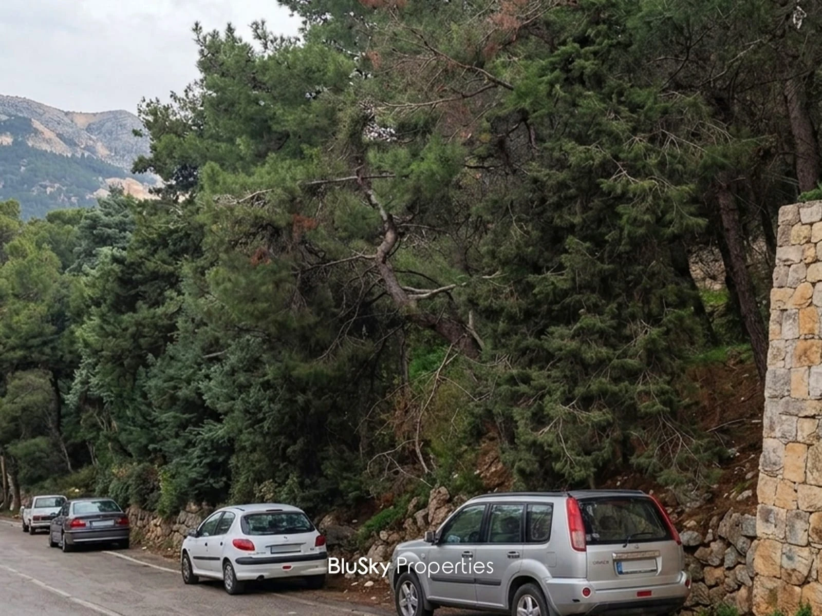 Land 965m² for Sale in Bsalim — الصورة 1