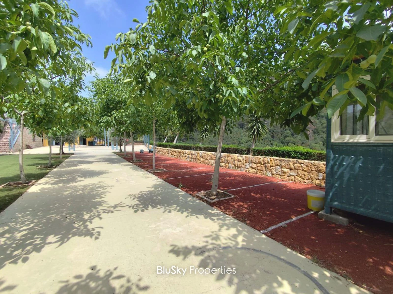 Land 2,000m² for Rent in Daroun — photo 4