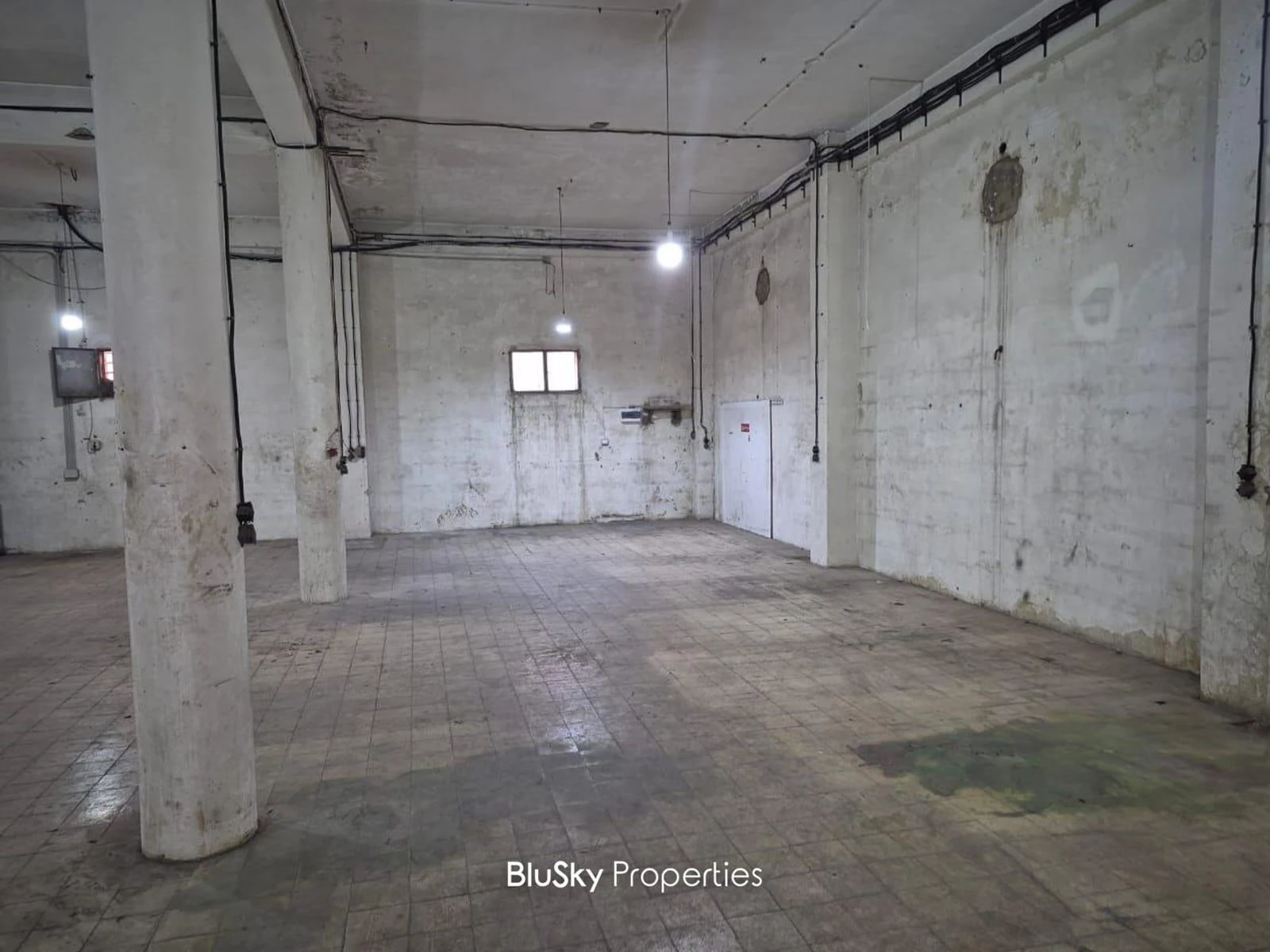 Warehouse 540m² for Rent in Dora — photo 3