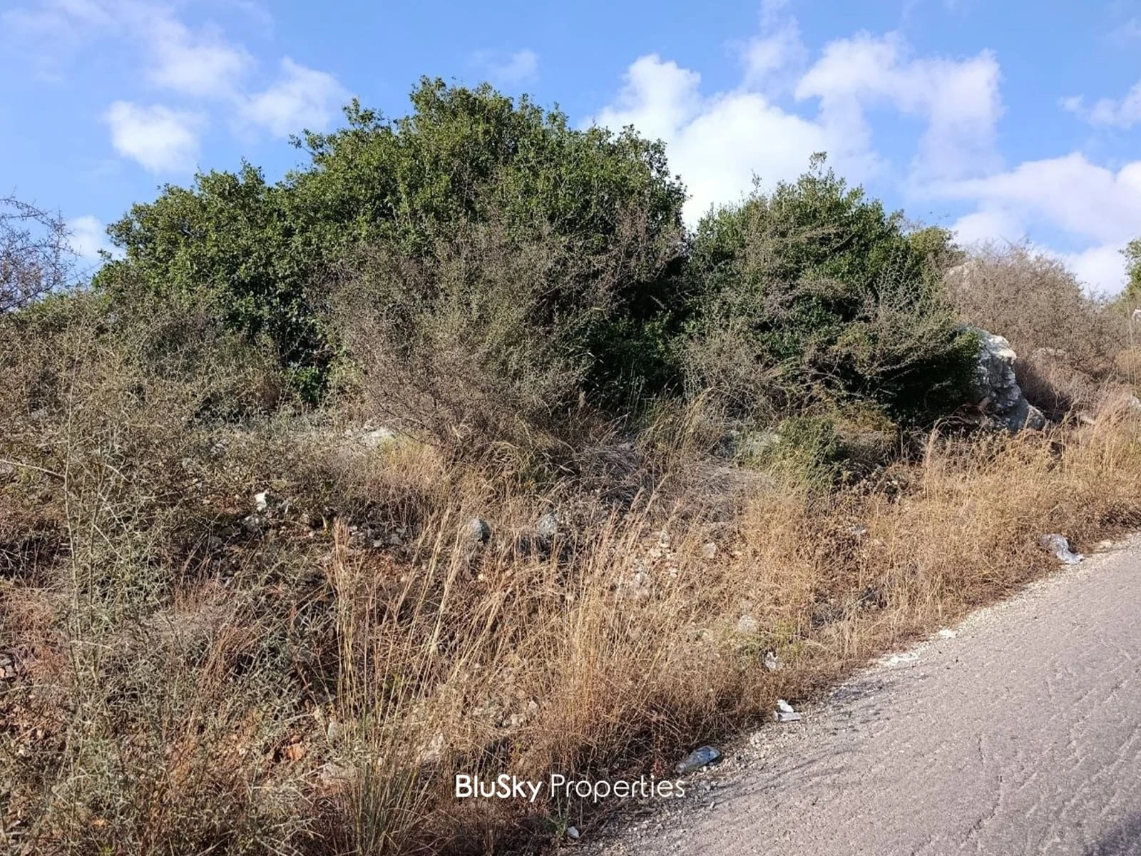 Land 900m² for Sale in Eddeh — الصورة 2