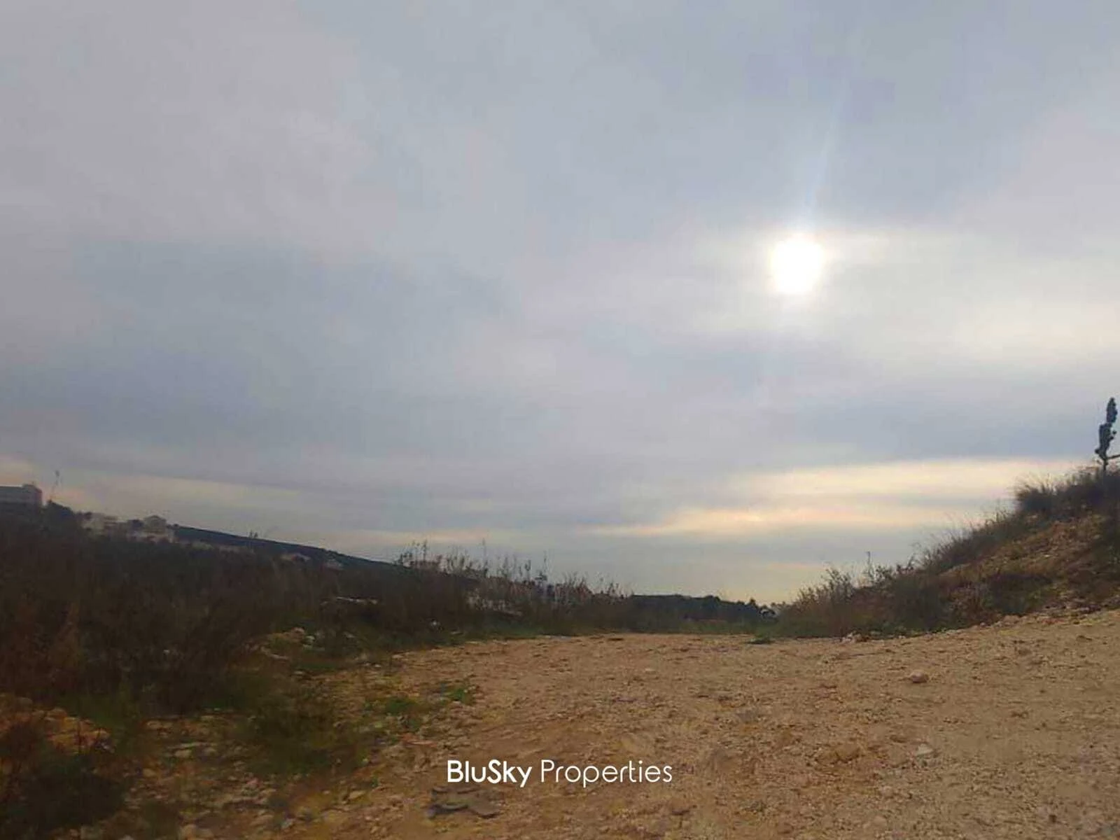 Land 9,100m² for Sale in Eddeh