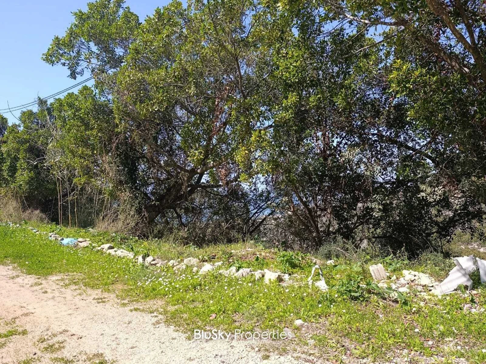 Land 800m² for Sale in Fidar