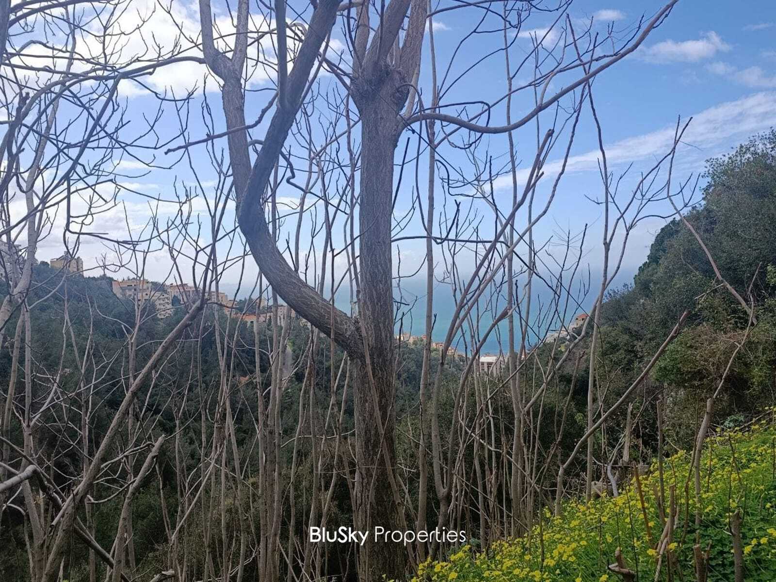 Land 1,250m² for Sale in Ghazir