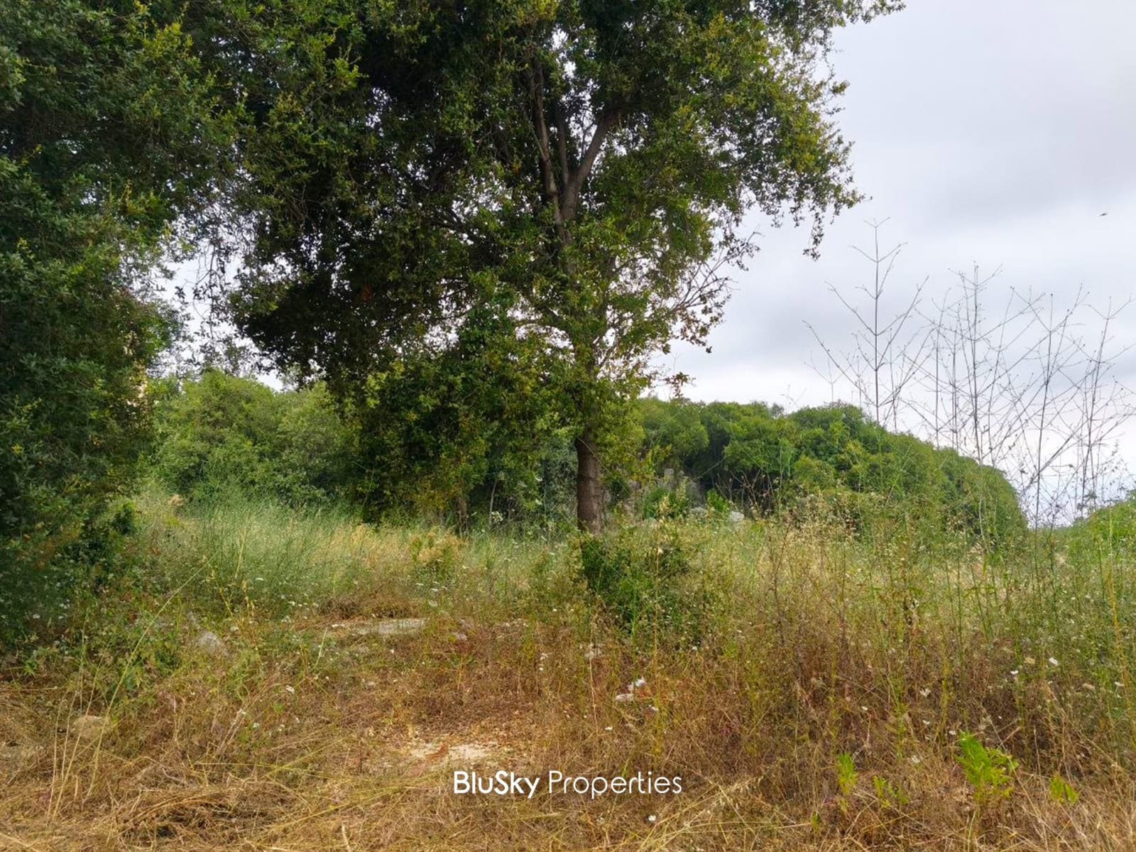 Land 900m² for Sale in Ghedres