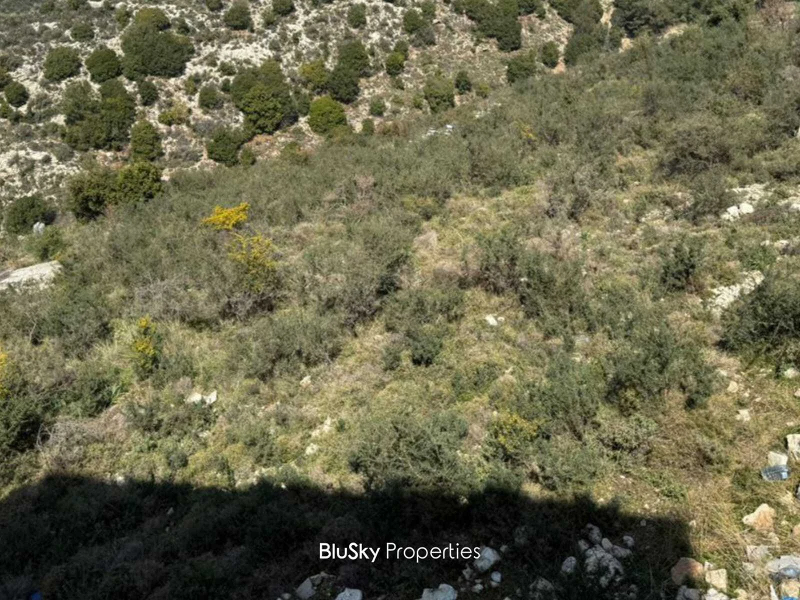 Land 1,572m² for Sale in Halat — photo 2