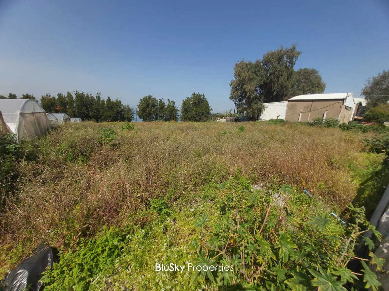 Land 1,699m² for Rent in Halat