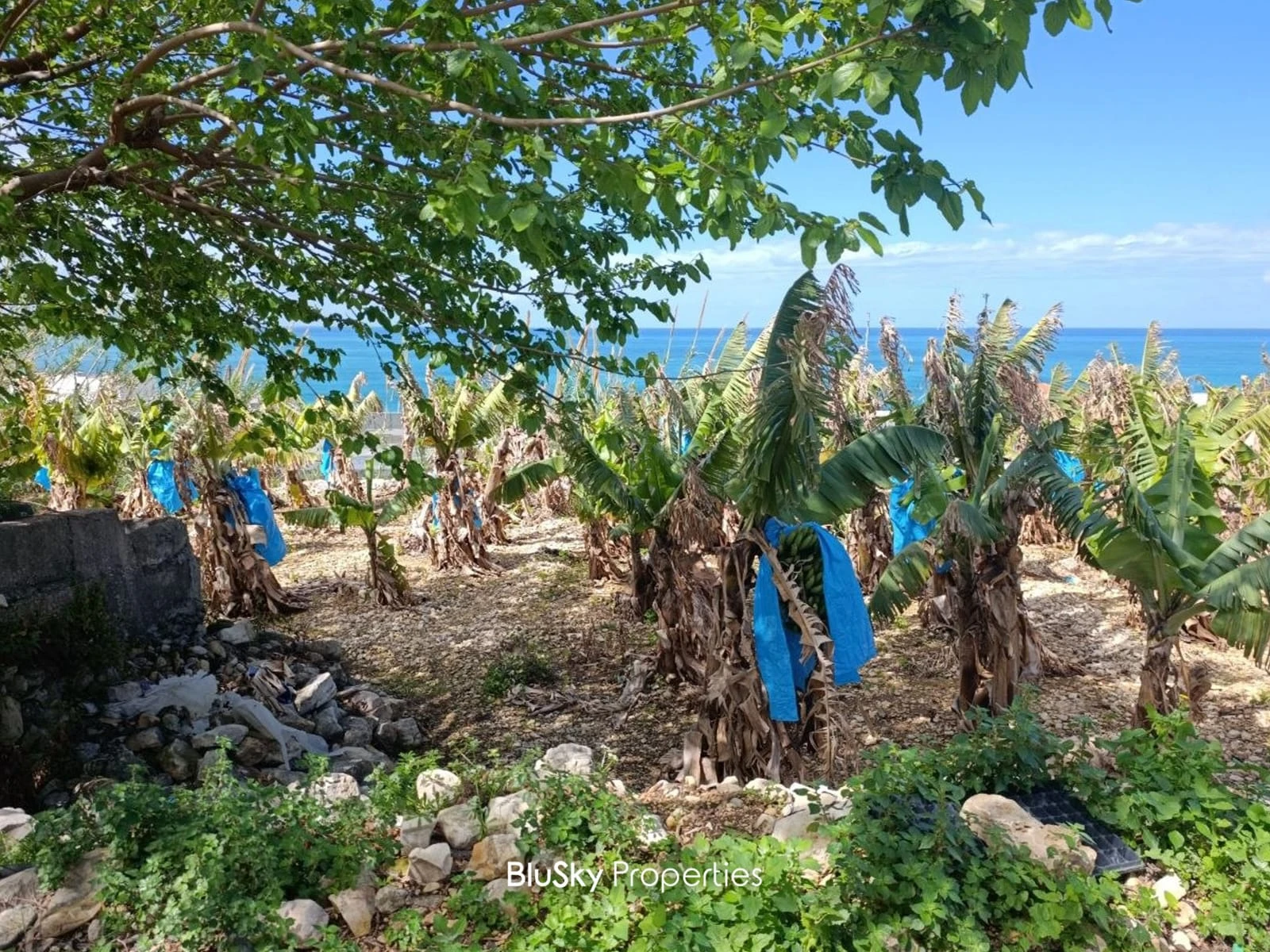 Land 1,722m² for Sale in Halat