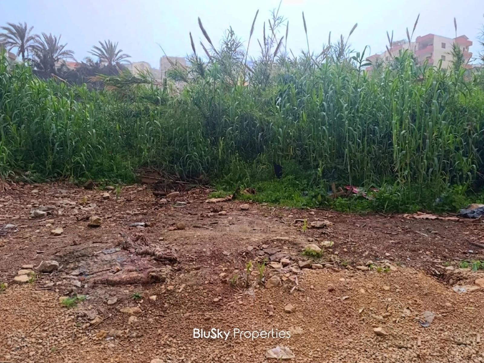 Land 7,154m² for Sale in Halat