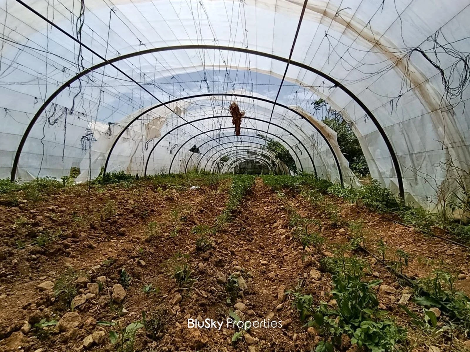 Land 4,570m² for Sale in Jbeil