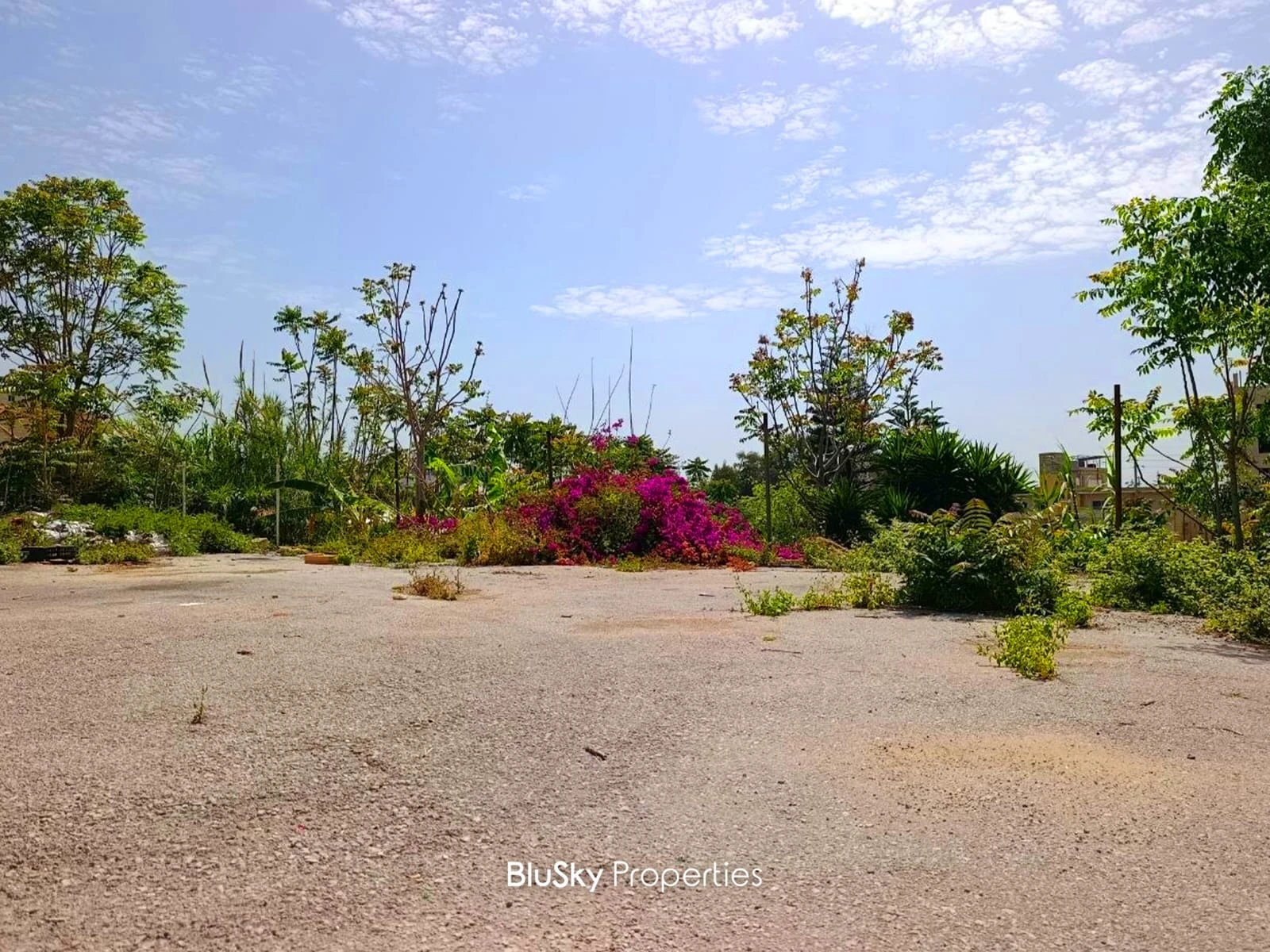 Land 4,570m² for Sale in Jbeil — photo 2