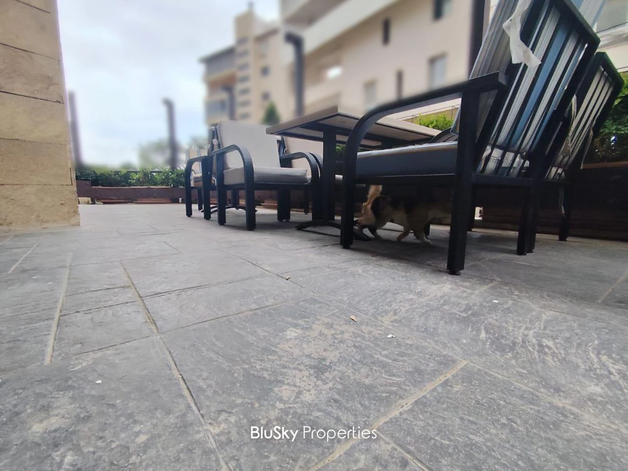 Shop 240m² Terrace for Rent in Kaslik — الصورة 2